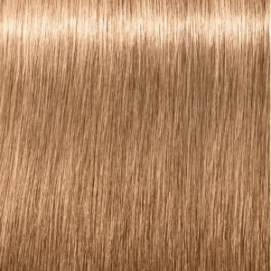 Schwarzkopf Igora Royal...