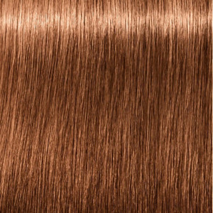 Schwarzkopf Igora Royal 7...