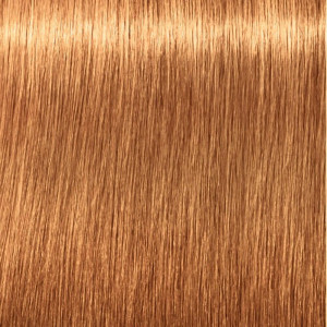 Schwarzkopf Igora Royal...