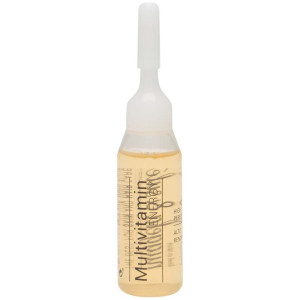 Nuggela Y Sulé Ampolla Multivitamina-Energy 1X10Ml