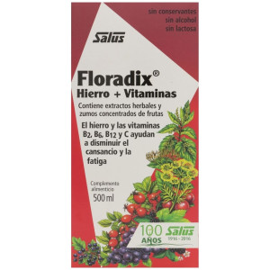 Floradix® Hierro +...