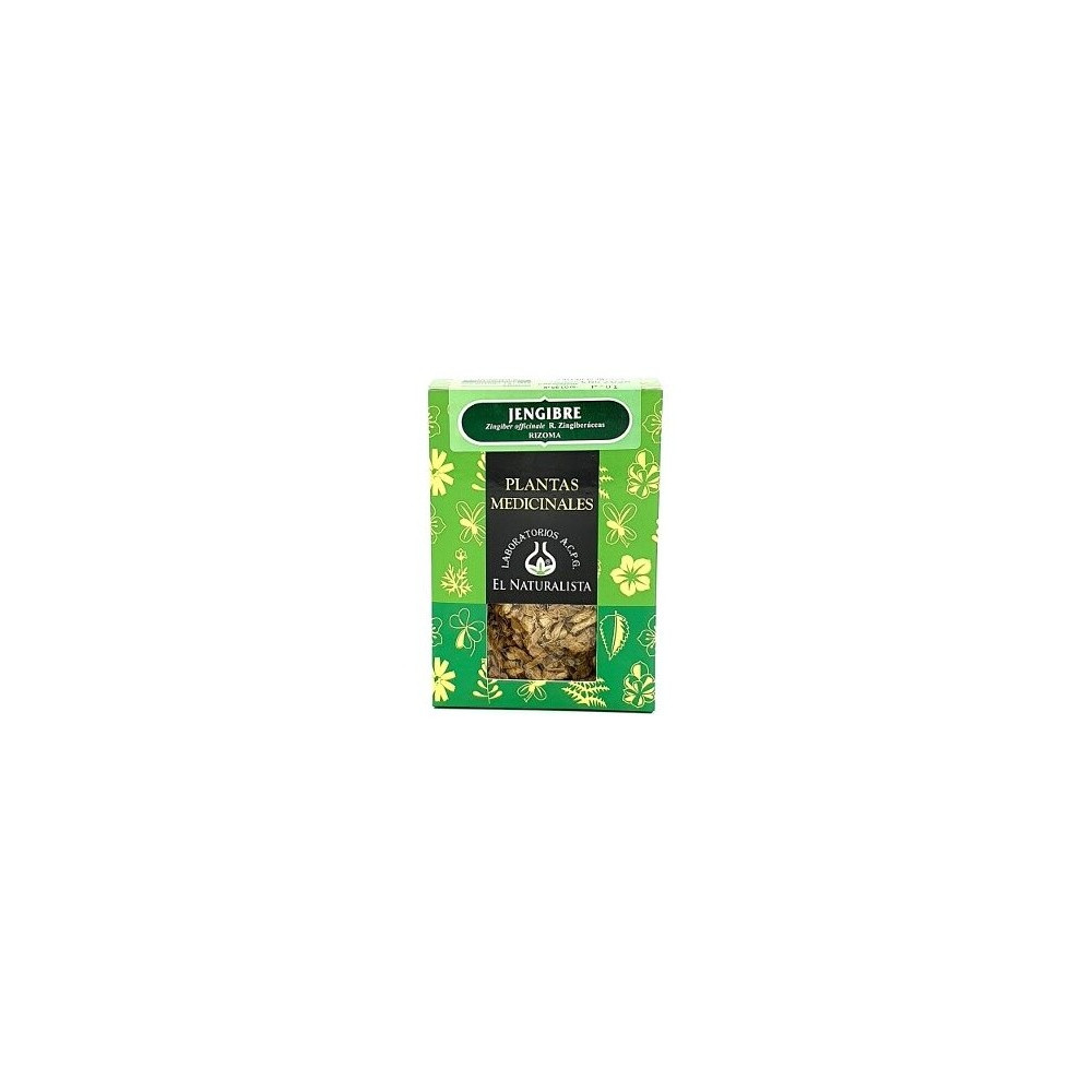 El Naturalista Jengibre 80 Gr Planta