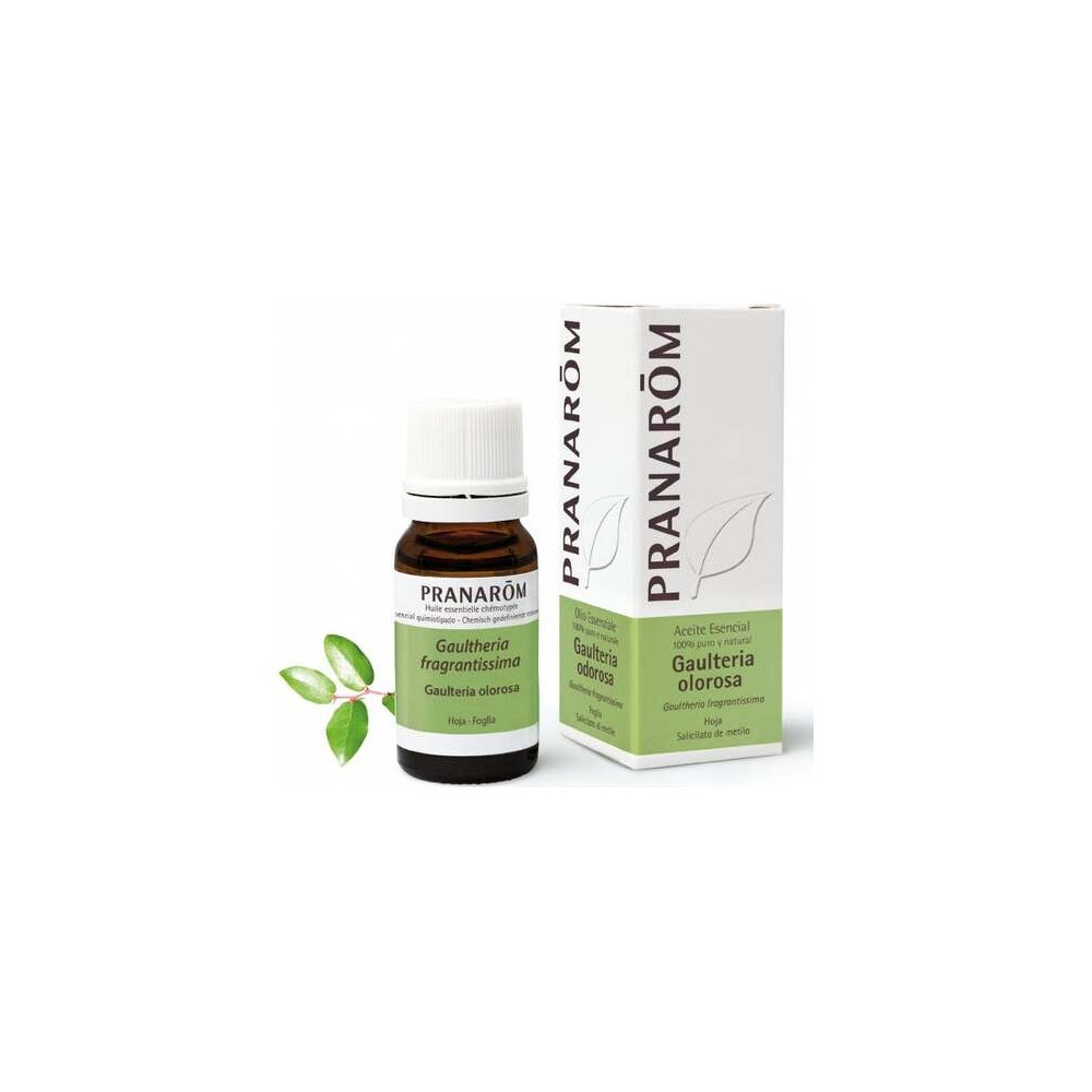 Gaulteria Olorosa Hoja Aceite Esencial Bio 10Ml.