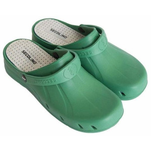 Secolino Zueco Ia Verde...