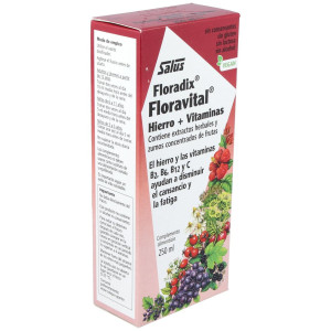 Floradix® Floravital® Hierro+Vitaminas 250Ml