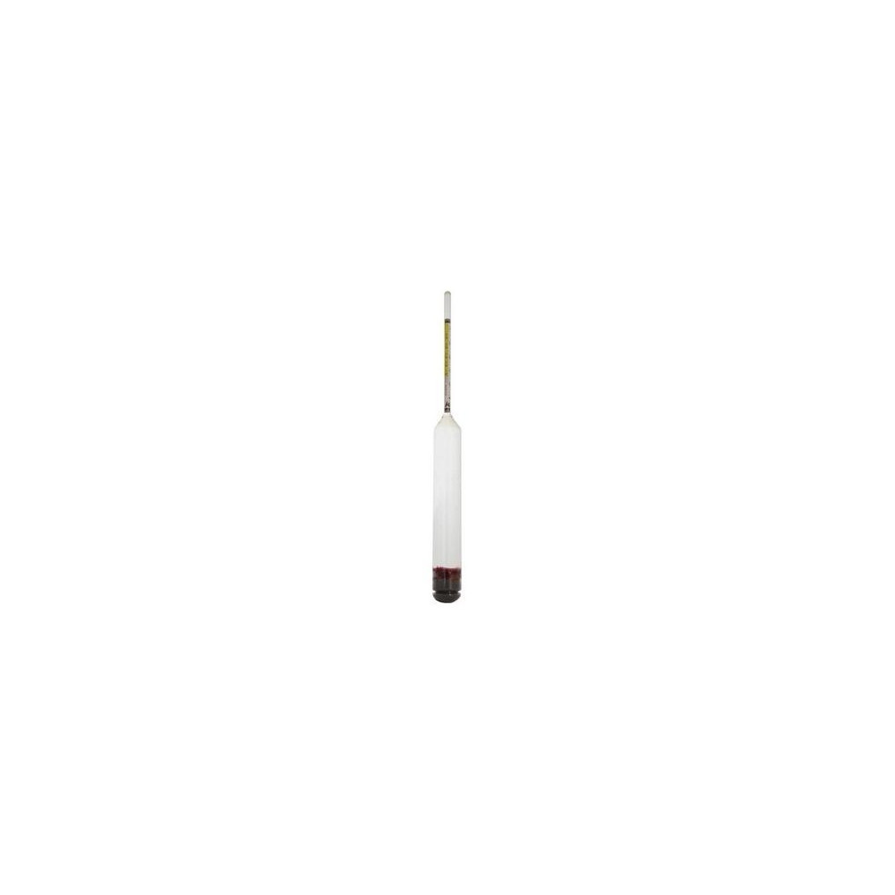 Terpenick Aceite Esencial De Eucalipto Globulus 10Ml