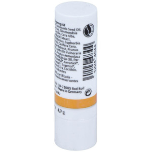 Dr. Hauschka Protector Labial Stick 5G