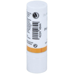Dr. Hauschka Protector Labial Stick 5G