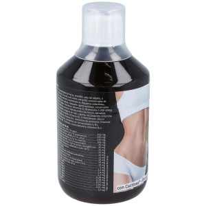 Espadiet Slank Water Top Action Gold 500Ml