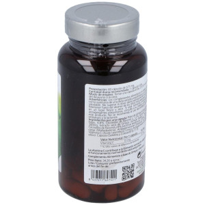 Mundo Natural Ginkgotonic 60Caps