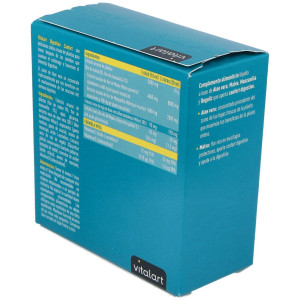 Vitalart Digestivo Confort 20Sticks