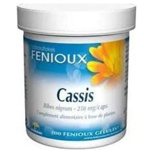 Fenioux Grosellero Negro...