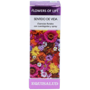 Flower Of Life Sentido De...