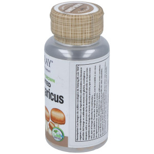 Royal Agaricus Champiñon Del Sol 500Mg. 60Cap.Veg