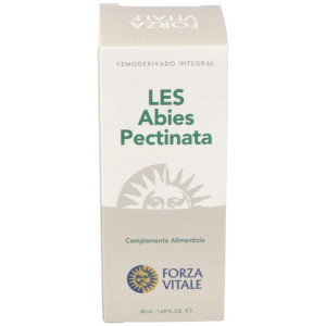 Les Abies Pectinata Abeto...