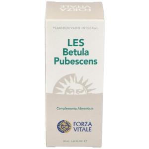 Les Betula Pubescens Abedul...