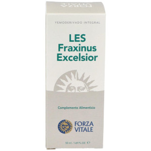 Les Fraxinus Excelsior...