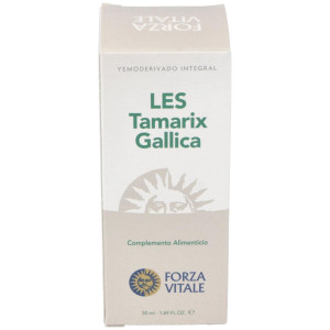 Les Tamarix Gallica...