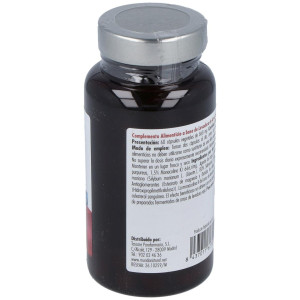 Mundo Natural Dibecol Forte 60 Caps