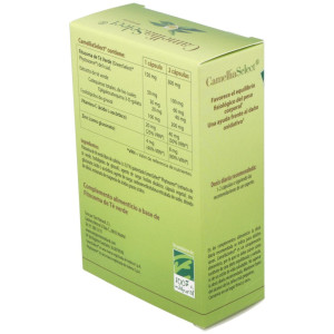 100% Natural Camellia Select Antioxidante 60Cáps