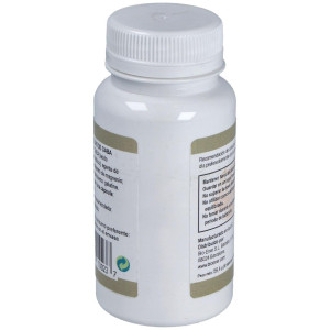 Gaba 500Mg. 90Cap.