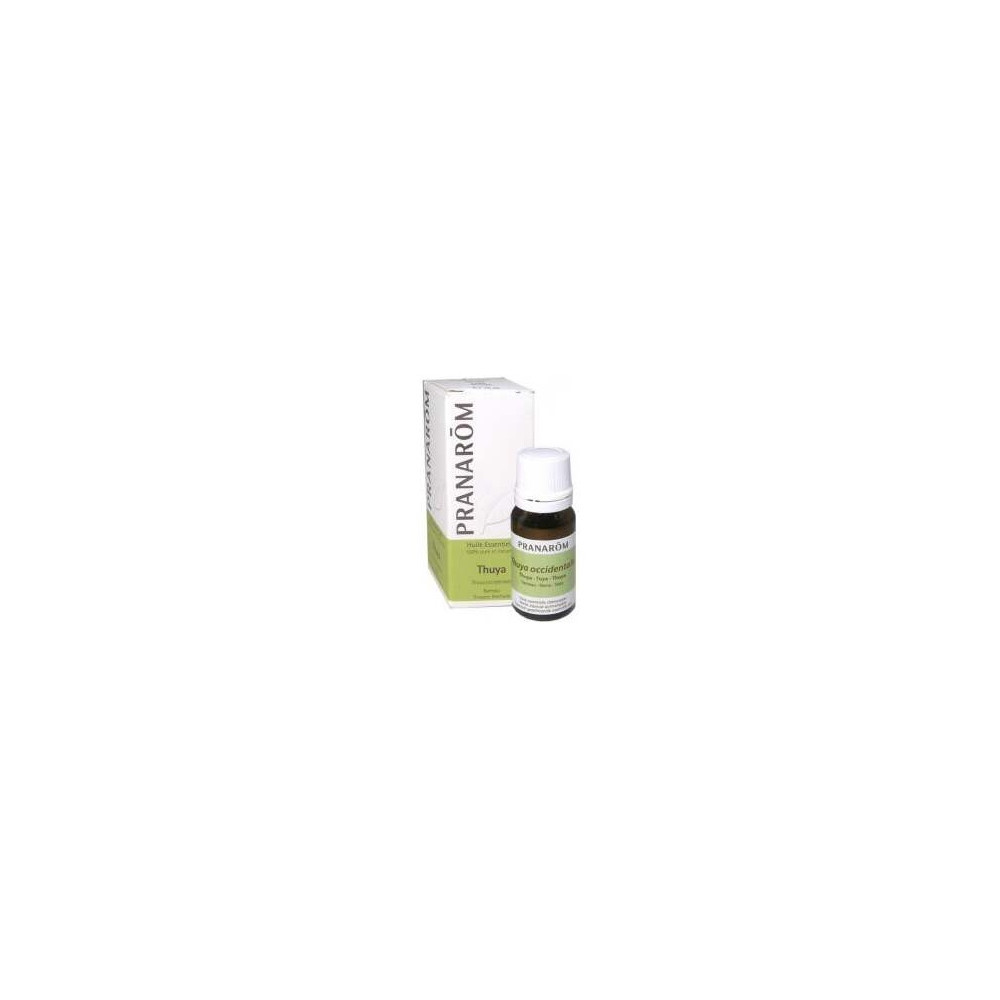 Thuya Occidentalis Aceite Esencial 10Ml.