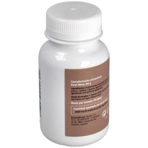 Sotya Ajo Macerado 1000Mg 60 Perlas