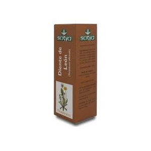 Extracto Diente De Leon 50Ml.