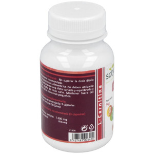 Sotya L-Carnitina 500Mg 90Cáps