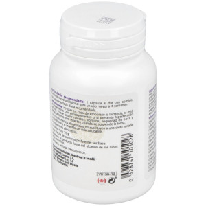 Ginkgo Formula 30Cap.