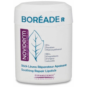 Boréade R Stick Reparador,...