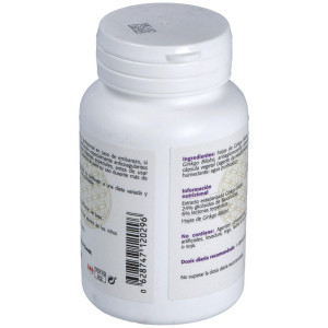 Ginkgo Biloba Estandarizado Al 24% 60Cap.
