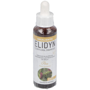 Pine 20Ml.