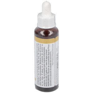 Pine 20Ml.