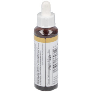 Pine 20Ml.