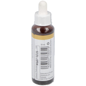 Pine 20Ml.