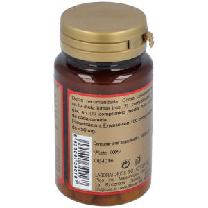 Obire Ginkgo Biloba 500Mg 100Comp