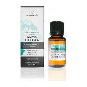 Salvia Sclarea Romana...