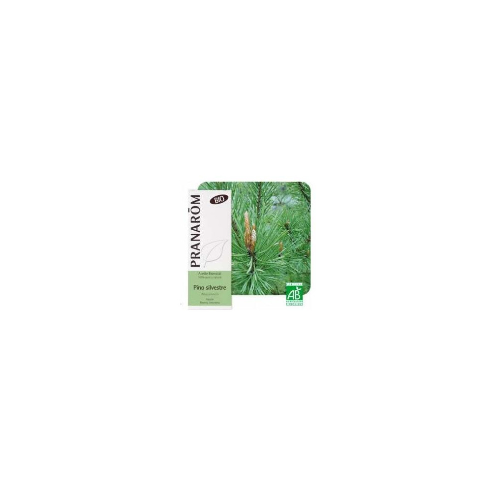 Pino Silvestre Aceite Esencial Bio 10Ml.