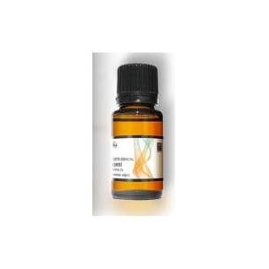 Verbena Exot Bio (May...