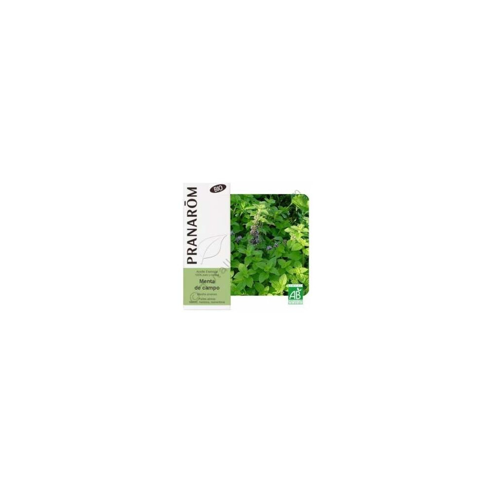 Menta Campo Aceite Esencial Alimentario Bio 10Ml.