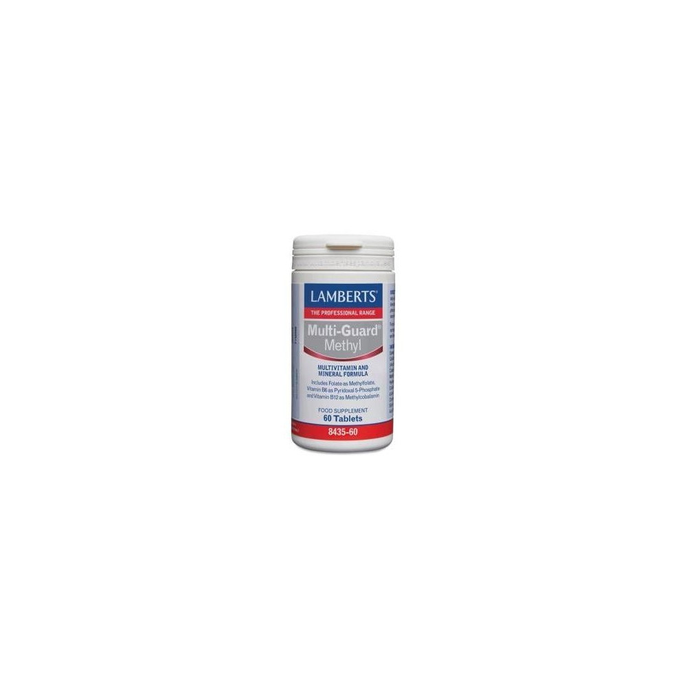 Lamberts Multi Guard Methyl 60Comp