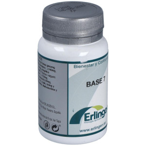 Erlingen Base 07 60Comp