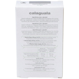 Calaguala 30 Caps Xxi Soria Natural
