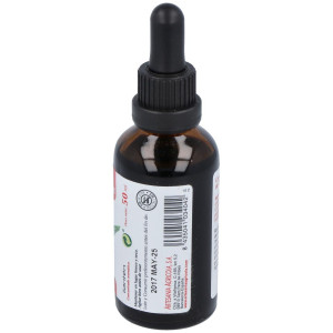Ext.Llanten 50Ml Maese Herbario