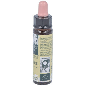 Pine Plantis Flores De Bach Nº 24 10Ml.