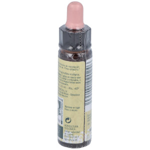 Pine Plantis Flores De Bach Nº 24 10Ml.