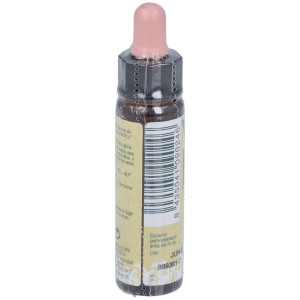 Pine Plantis Flores De Bach Nº 24 10Ml.