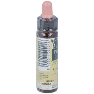 Pine Plantis Flores De Bach Nº 24 10Ml.