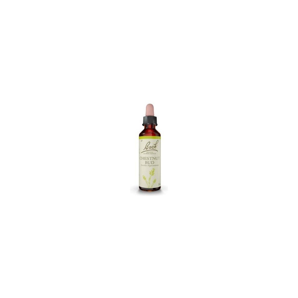 Flores Bach Chestnut Bud Brote Castaño 20Ml.